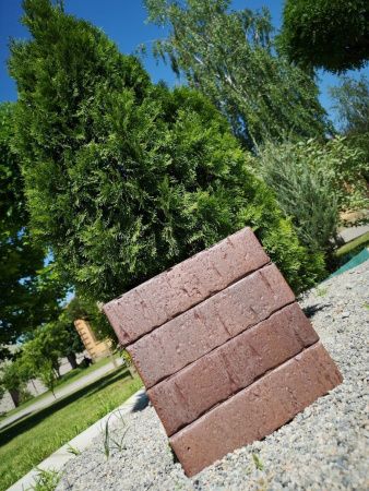 Облицовочный Славянский кирпич одинарный 1 НФ Ливерпуль кроста